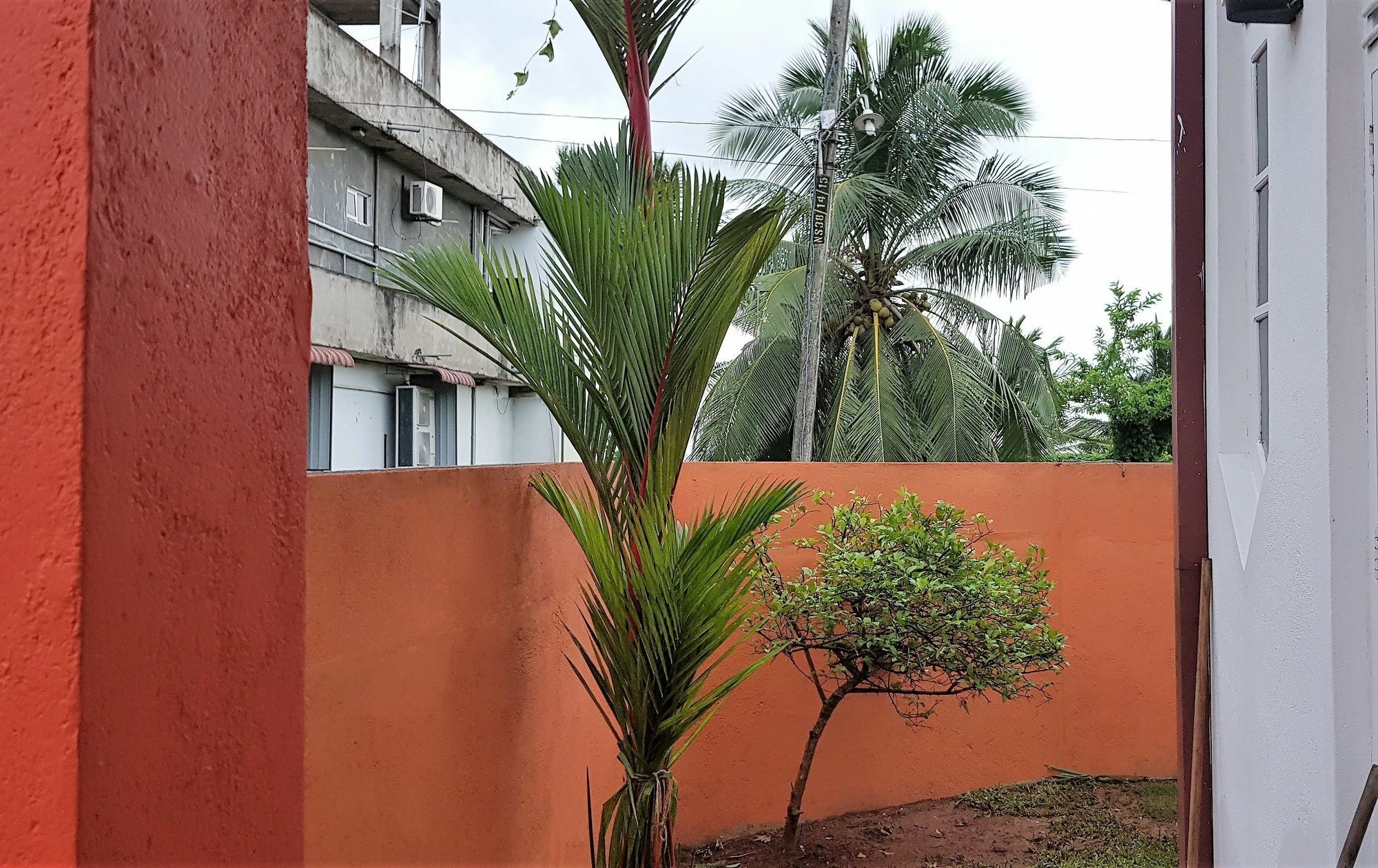 Yoyo Airport Hostel Negombo Exteriör bild