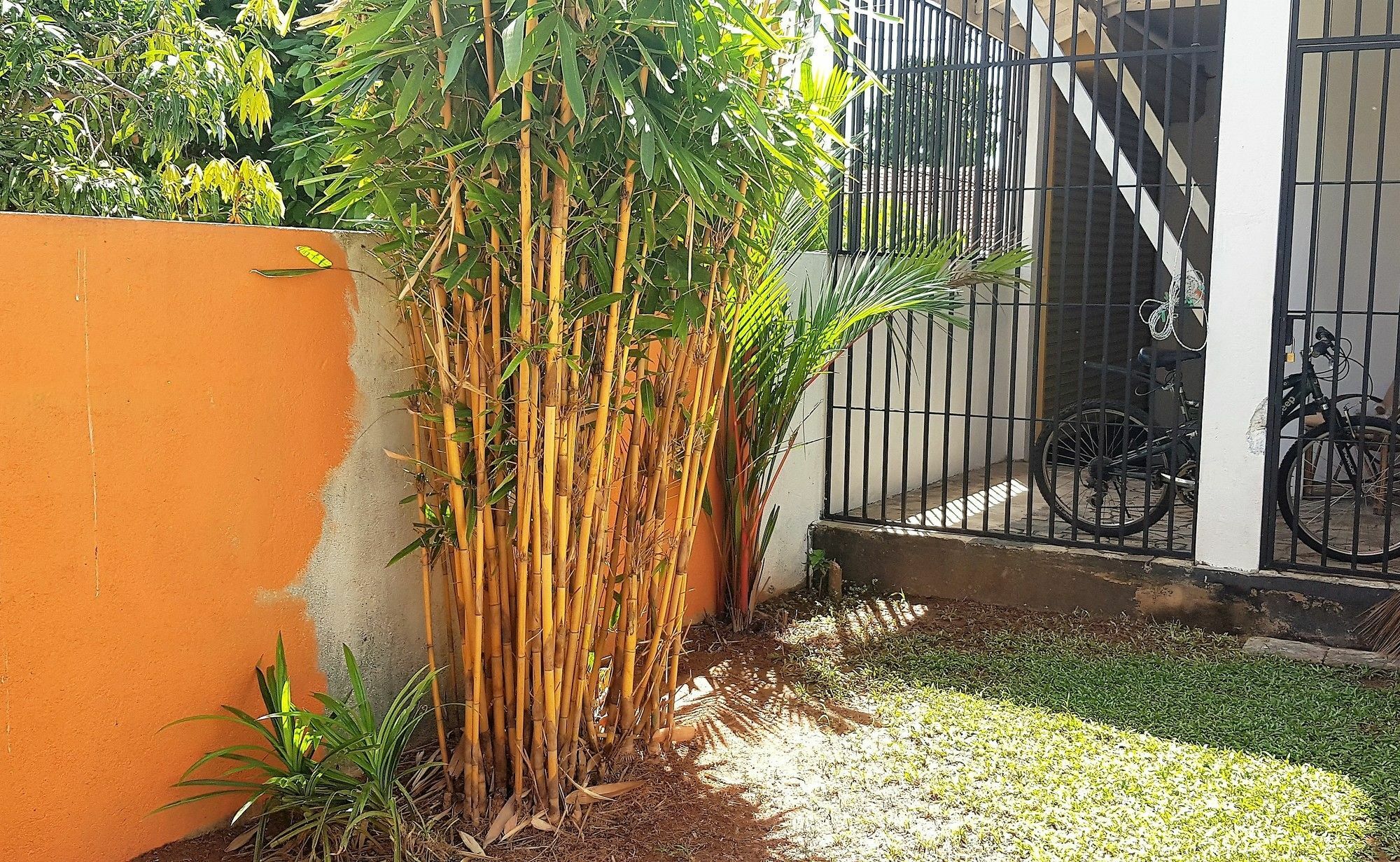 Yoyo Airport Hostel Negombo Exteriör bild